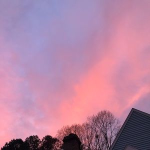 Meet your Posher, Lesly